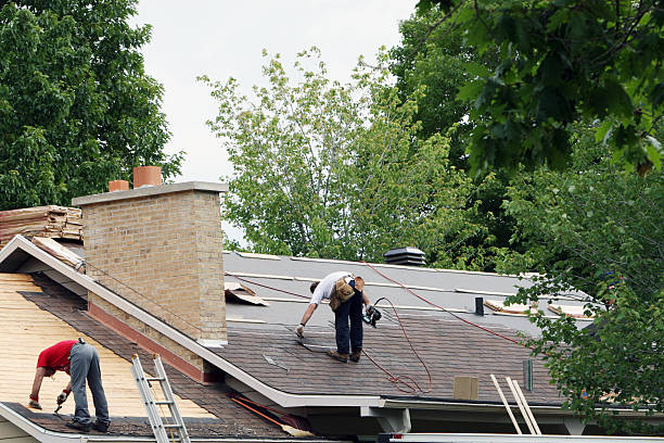 Best Roof Moss and Algae Removal  in Mansfield, OH